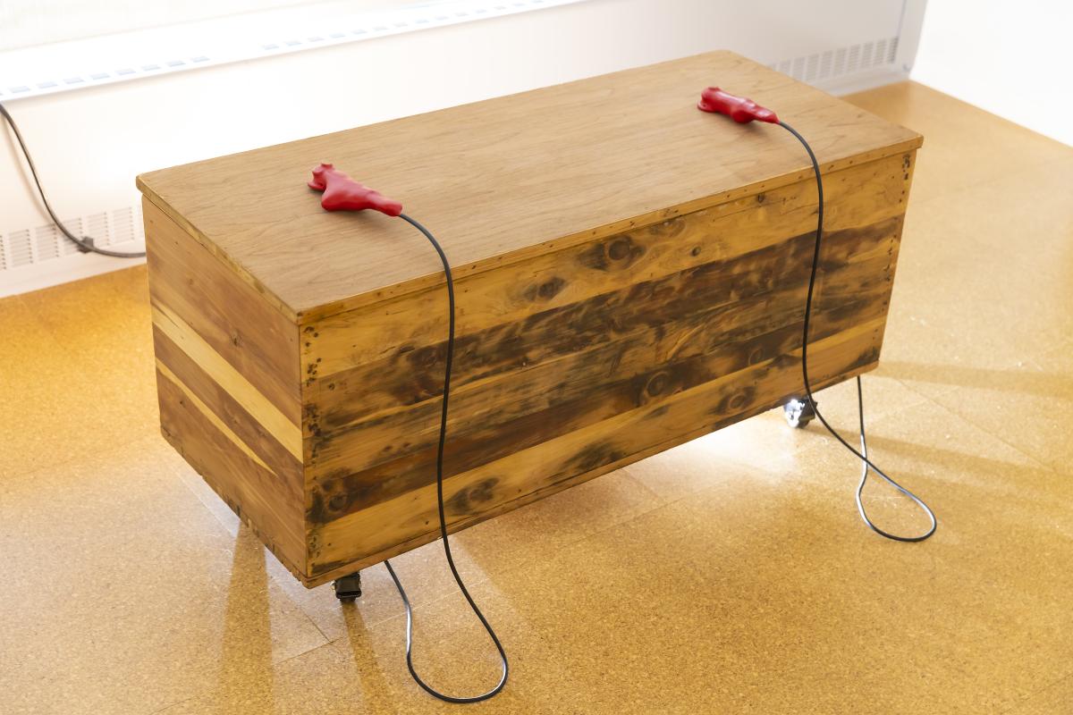 The heart sounds bench with two input devices, as seen illuminated.