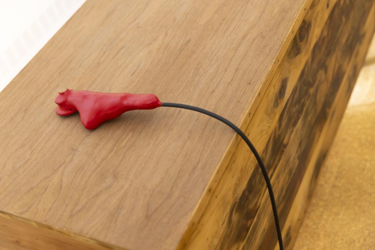 An input device, as seen on the heart sounds table. The device is red and is attached to a black cord.