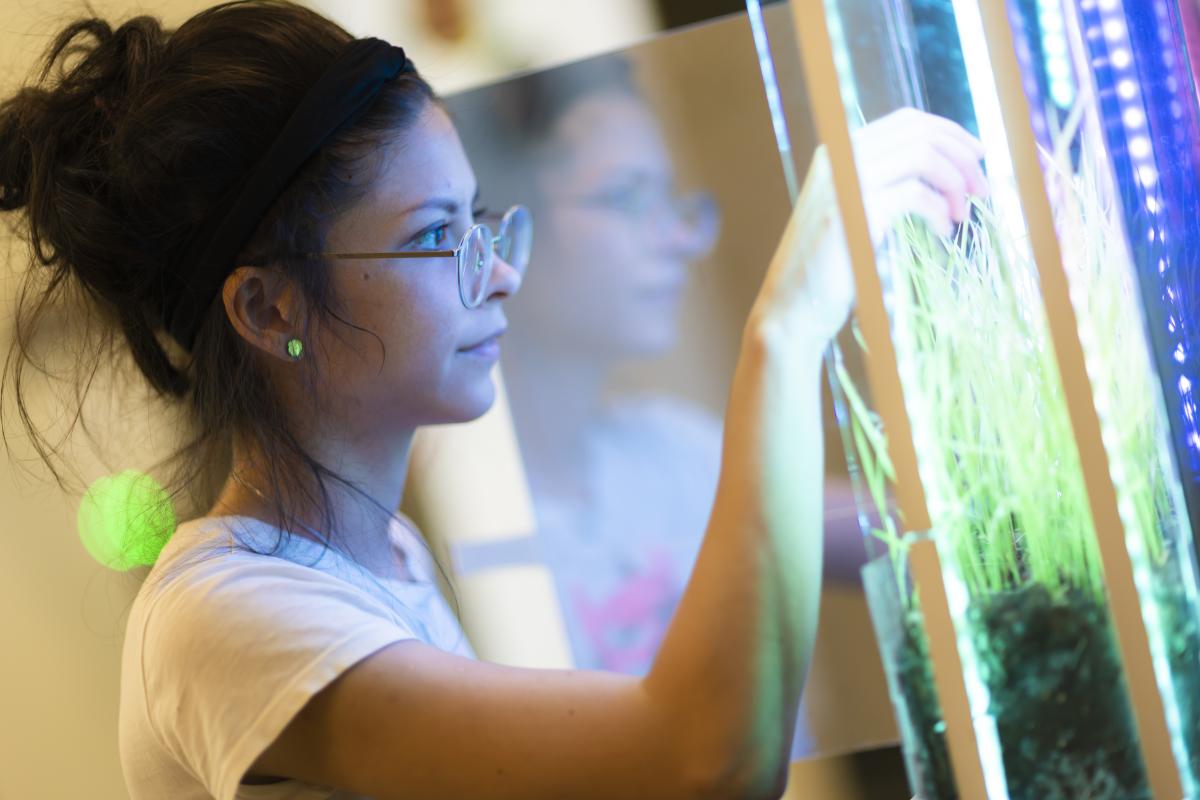 An artist working on an art installation.